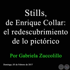 STILLS, DE ENRIQUE COLLAR: EL REDESCUBRIMIENTO DE LO PICTÓRICO - Por Gabriela Zuccolillo - Domingo, 05 de Febrero de 2017